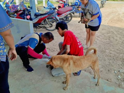 โครงการสัตว์ปลอดโรคฯ ประจำปีงบประมาณ พ.ศ.๒๕๖๙