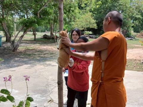 โครงการสัตว์ปลอดโรค คนปลอดภัย จากโรคพิษสุนัขบ้า ปีงบประมาณ 2568