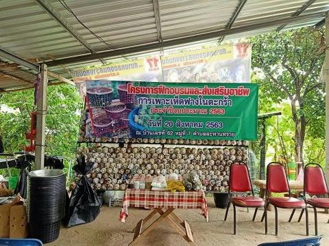 โครงการฝึกอบรมและส่งเสริมอาชีพการเพาะเห็ดฟางในตะกล้า ประจำปีงบปร