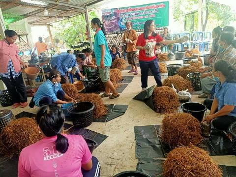 โครงการฝึกอบรมและส่งเสริมอาชีพการเพาะเห็ดฟางในตะกล้า ประจำปีงบปร