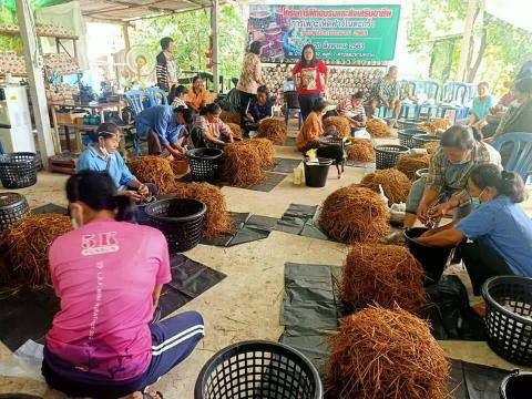 โครงการฝึกอบรมและส่งเสริมอาชีพการเพาะเห็ดฟางในตะกล้า ประจำปีงบปร