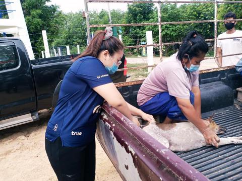 โครงการสัตว์ปลอดโรค คนปลอดภัยจากพิษสุนัขบ้า ประจำปีงบประมาณ2564