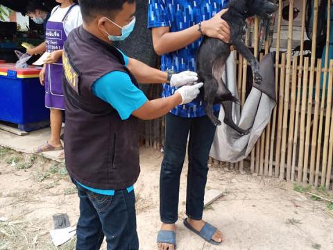 โครงการสัตว์ปลอดโรค คนปลอดภัยจากพิษสุนัขบ้า ประจำปีงบประมาณ2564