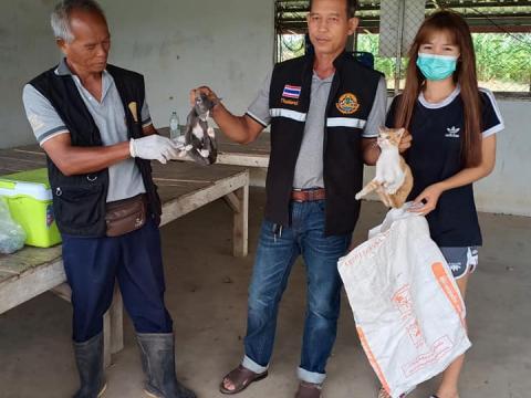 โครงการสัตว์ปลอดโรค คนปลอดภัยจากพิษสุนัขบ้า ประจำปีงบประมาณ2564