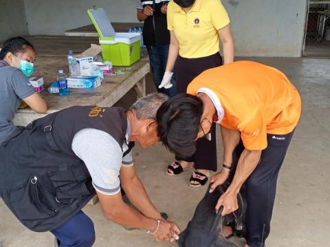 โครงการสัตว์ปลอดโรค คนปลอดภัยจากพิษสุนัขบ้า ประจำปีงบประมาณ2564