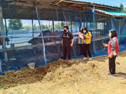 วันที่ 16-18 มิถุนายน 2564 ลงพื้นที่สำรวจโรคระบาดลัมปี สกิน เพื่