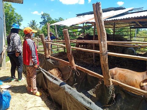 วันที่ 16-18 มิถุนายน 2564 ลงพื้นที่สำรวจโรคระบาดลัมปี สกิน เพื่