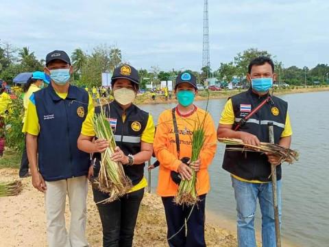มอบใบประกาศเกียรติคุณ