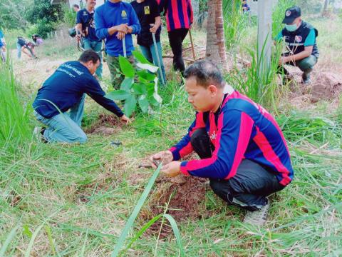 โครงการปลูกต้นไม้เพิ่มพื้นที่สีเขียว ประจำปีงบประมาณ 2565