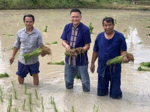 ดำนาวิถีชุมชนวัดป่าละหานทราย ประจำปีงบประมาณ 2566