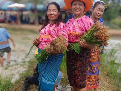 ดำนาวิถีชุมชนวัดป่าละหานทราย ประจำปีงบประมาณ 2566