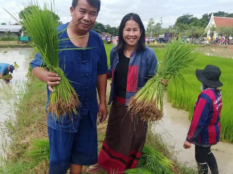 ดำนาวิถีชุมชนวัดป่าละหานทราย ประจำปีงบประมาณ 2566