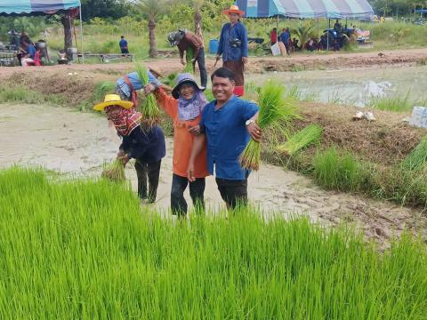 ดำนาวิถีชุมชนวัดป่าละหานทราย ประจำปีงบประมาณ 2566