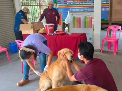 ฉีดวัคซีนพิษสุนัขบ้า ประจำปีงบประมาณ 2566