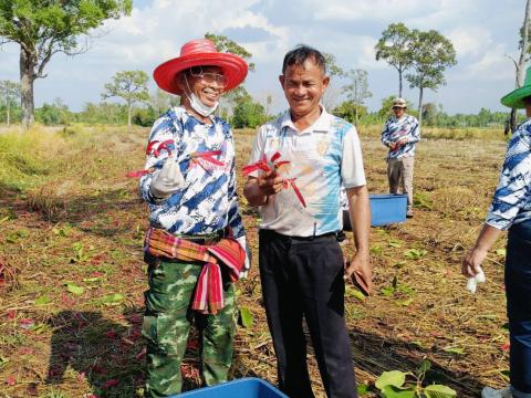 ภารกิจเก็บดอกสะแบง