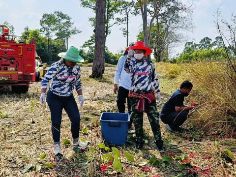 ภารกิจเก็บดอกสะแบง