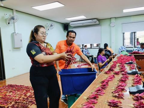 ภารกิจเก็บดอกสะแบง